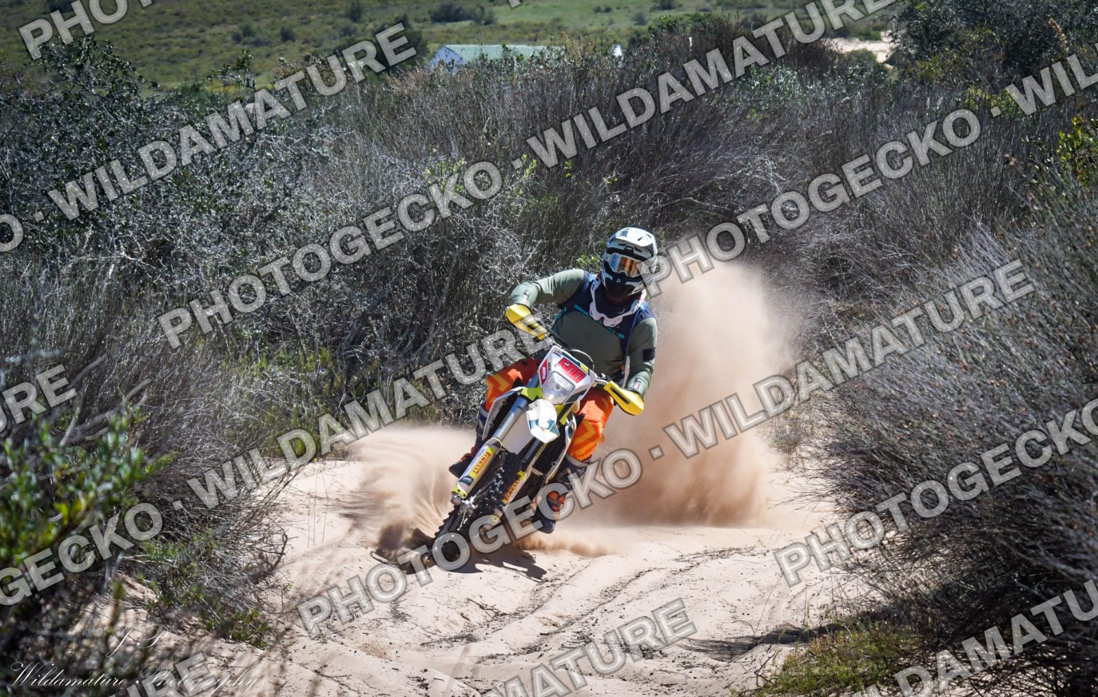 Photo PGB63587