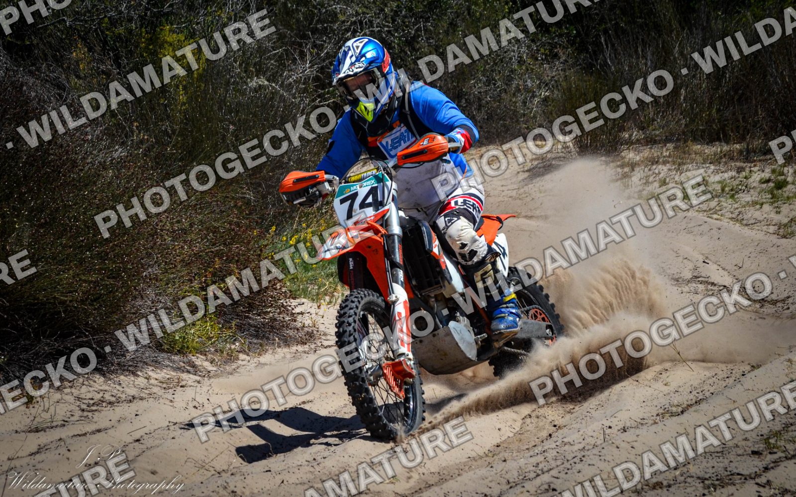 Photo PGB8643C