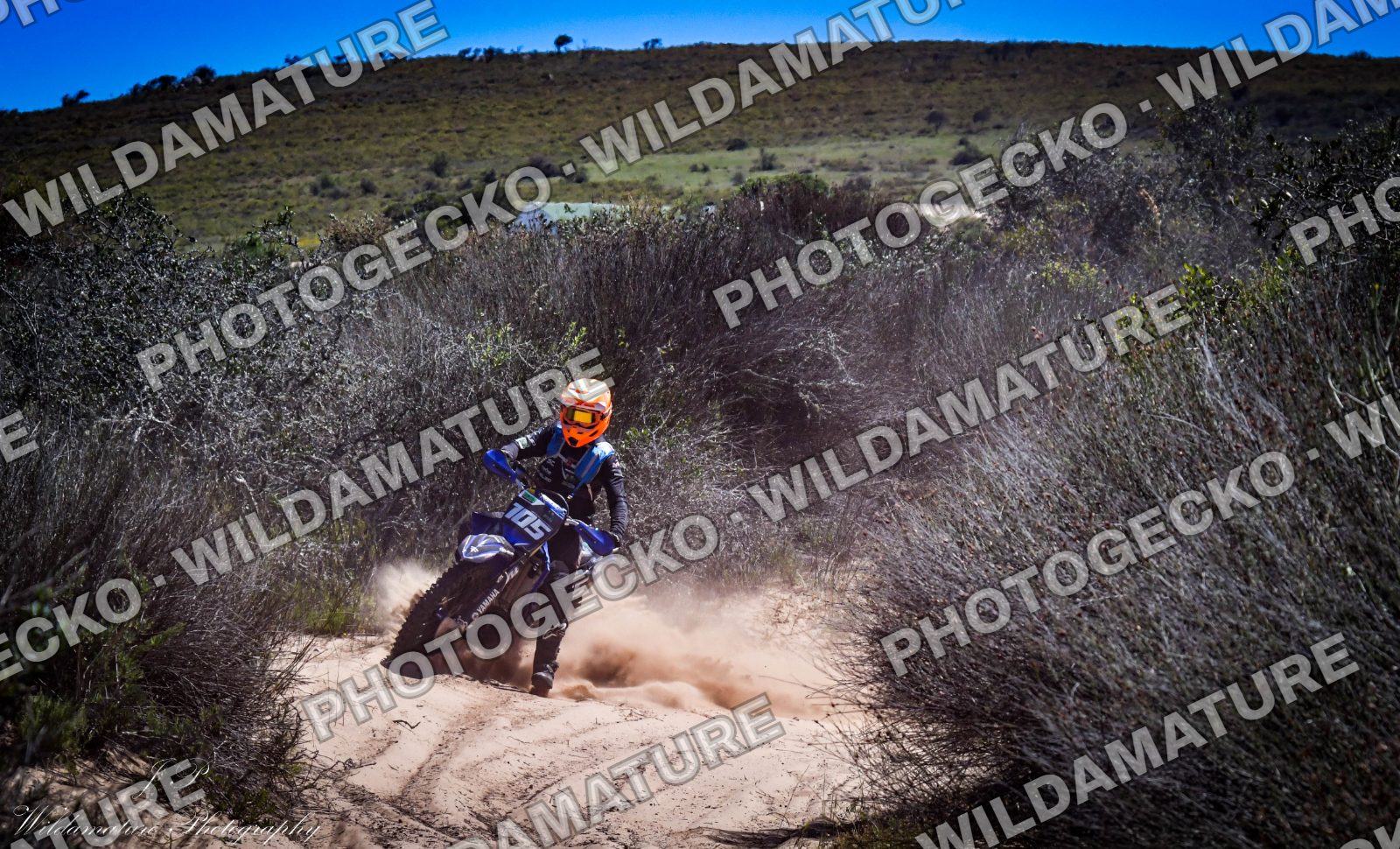Photo PGB6F3A3