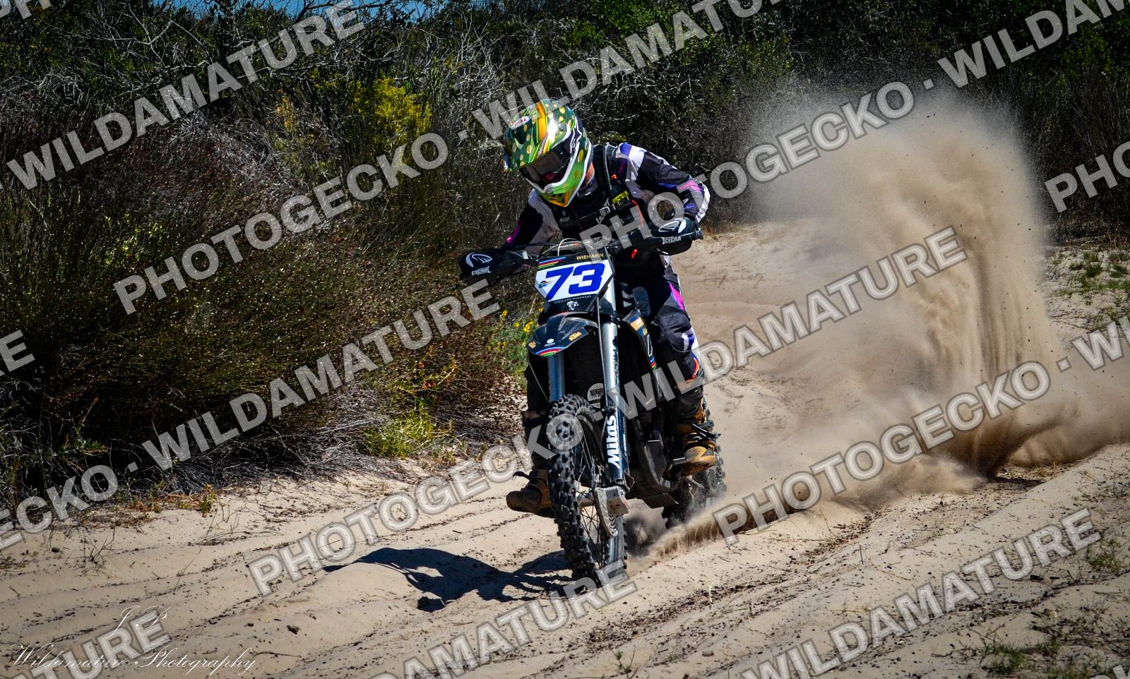 Photo PGE14486