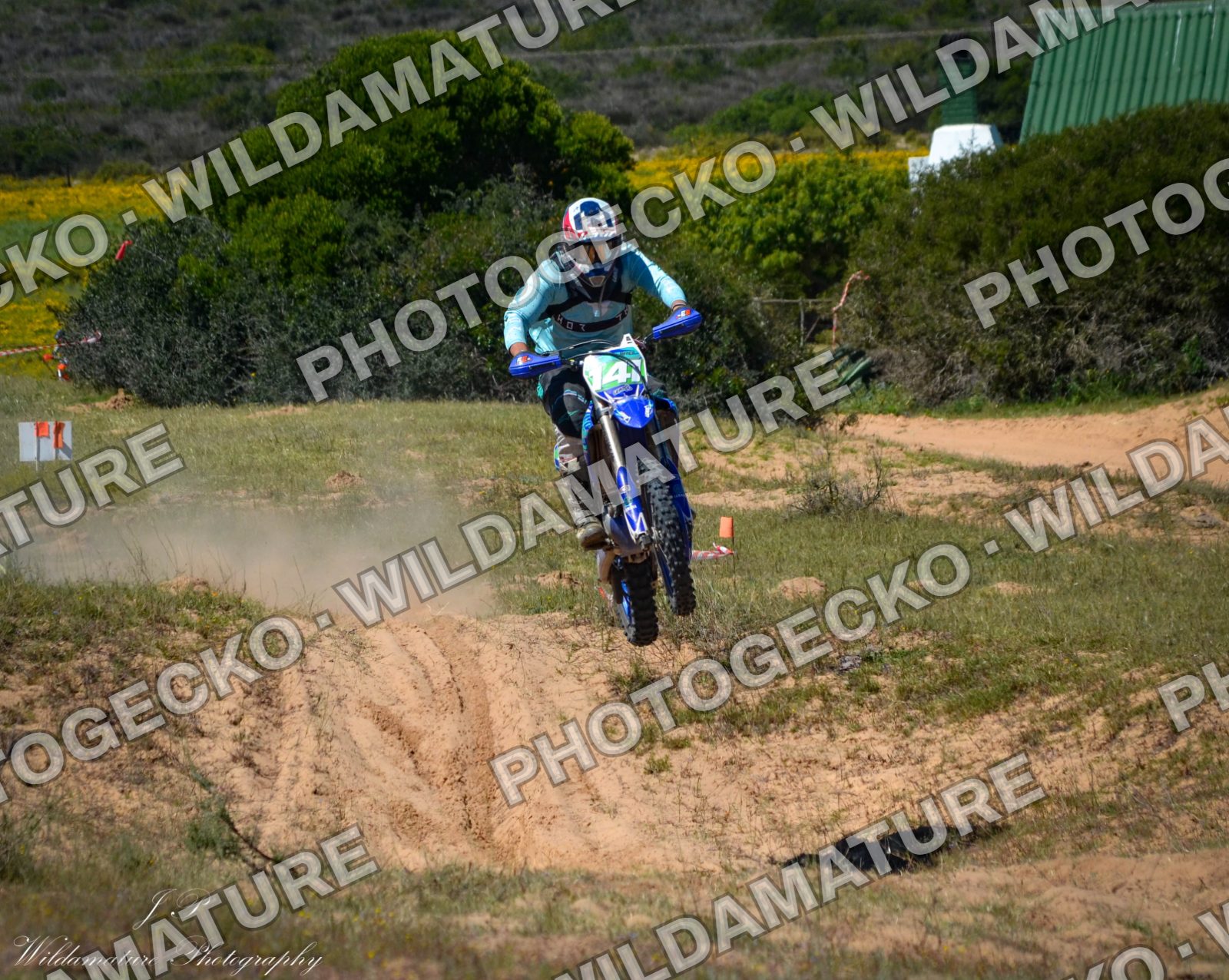 Photo PGB7201B