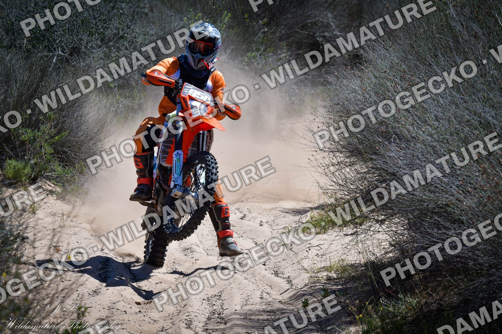 Photo PGF4C58C