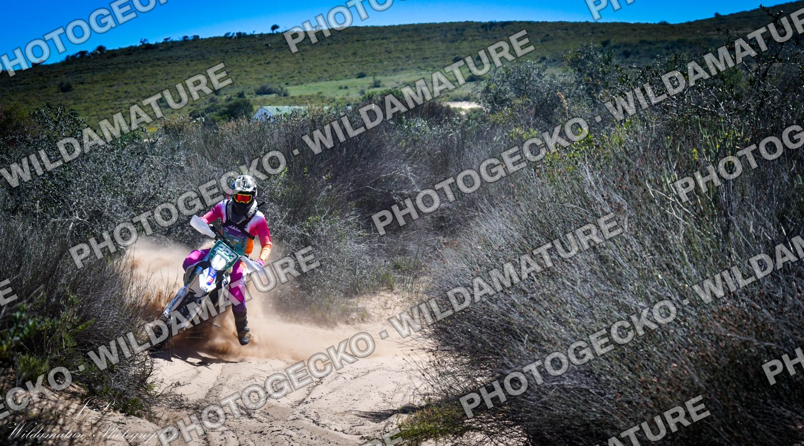 Photo PGC491BC