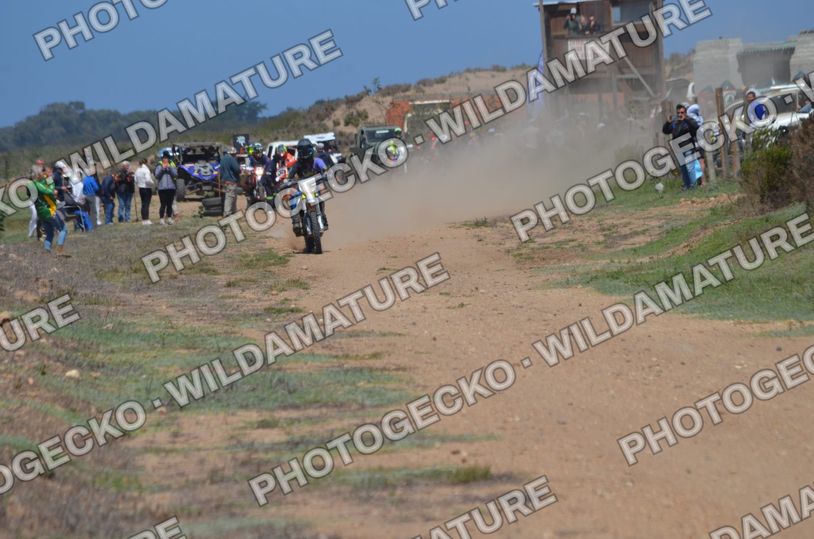 Photo PGDA3412