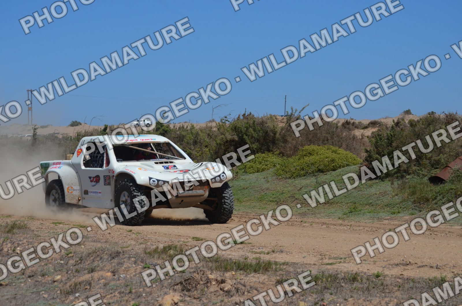 Photo PGC20B47