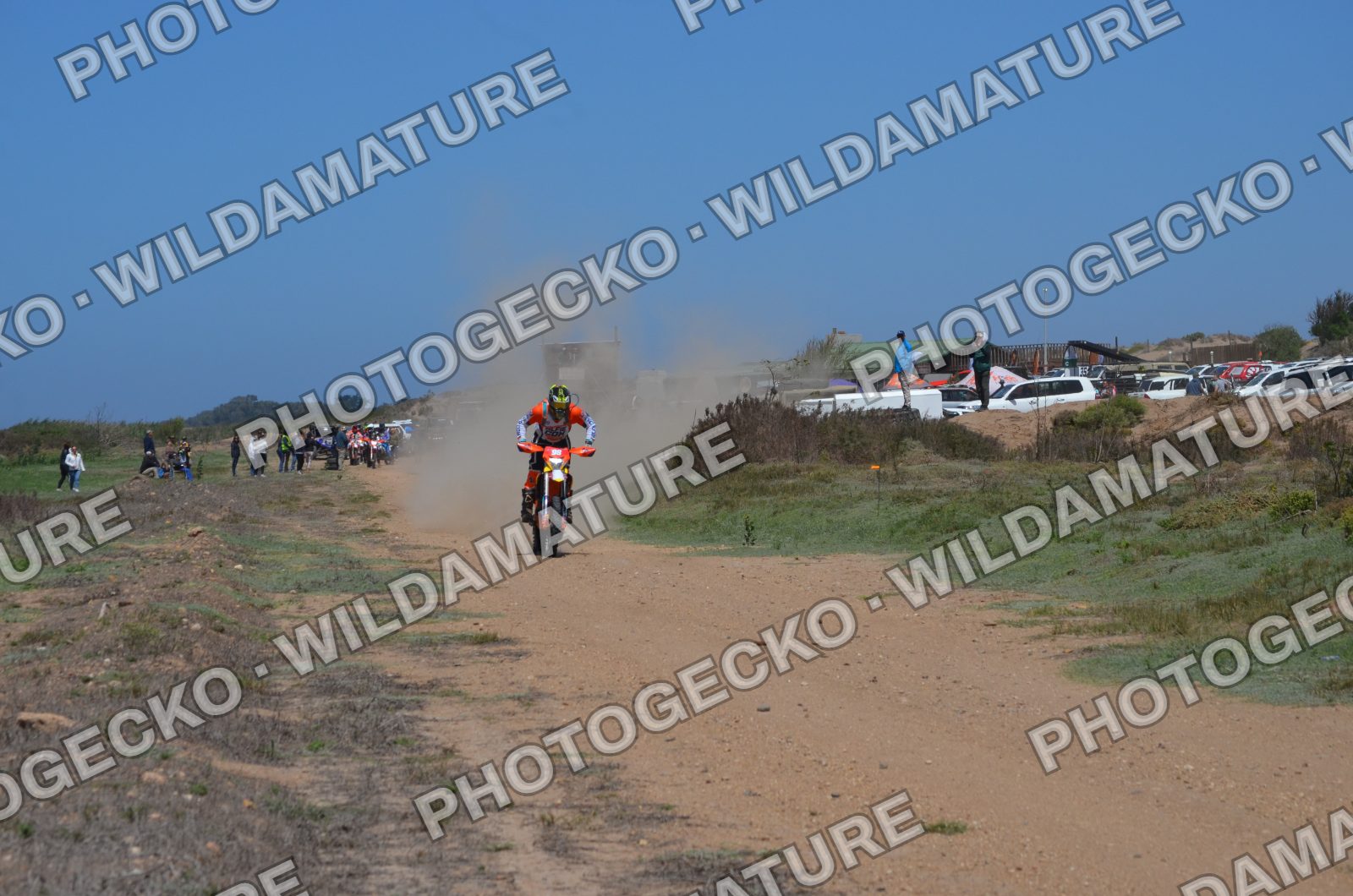 Photo PG768415
