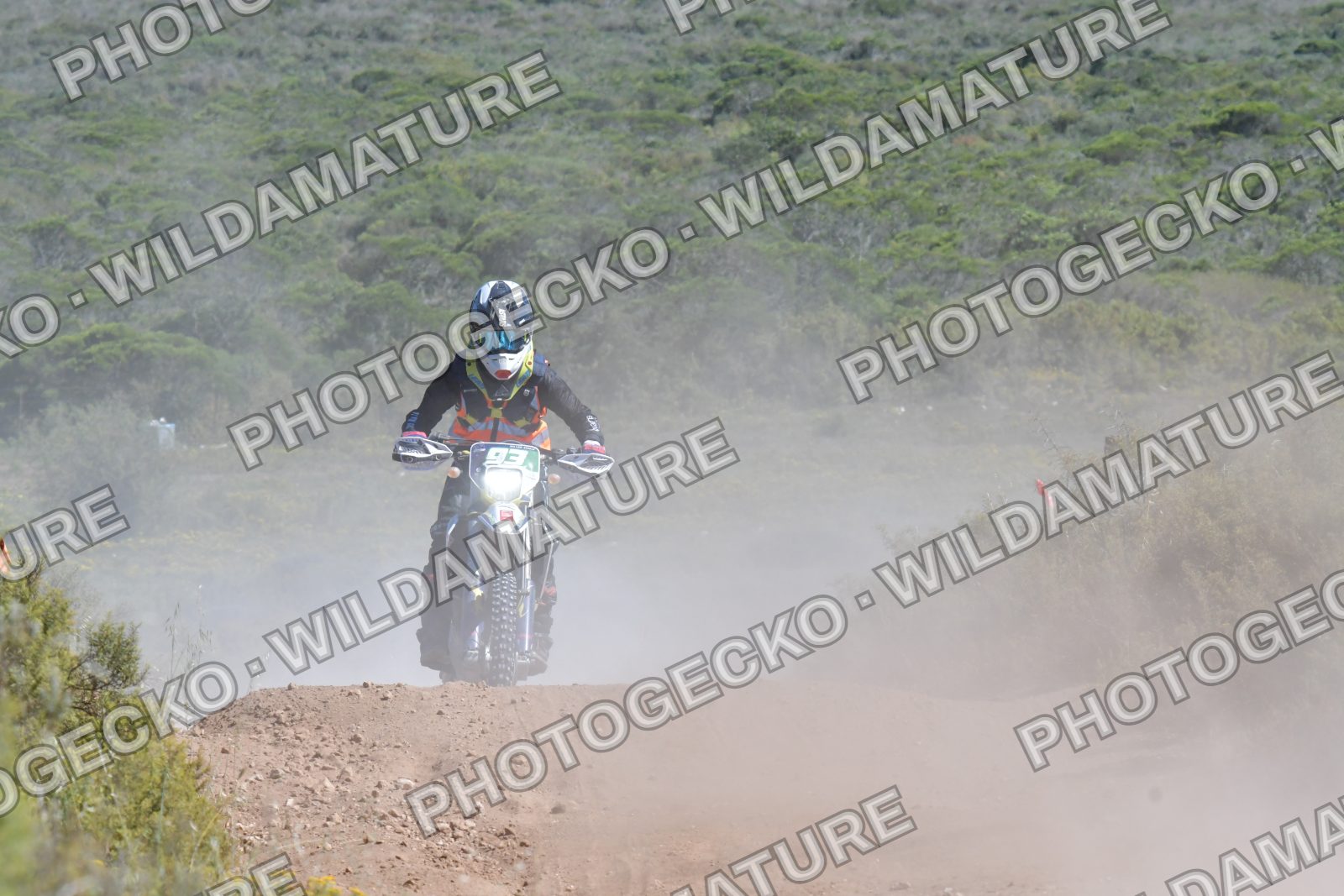 Photo PG636140