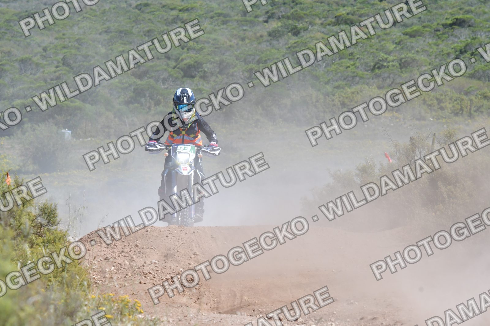 Photo PGB31064