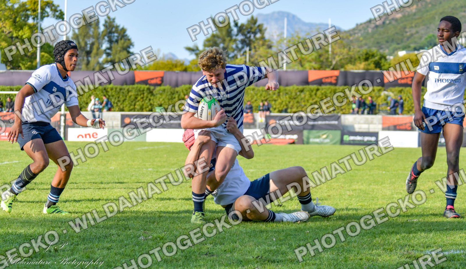 Photo PG7B694B